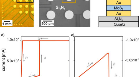 2D-MoS2 goes 3D: transferring optoelectronic properties of 2D MoS2 to a large-area thin film